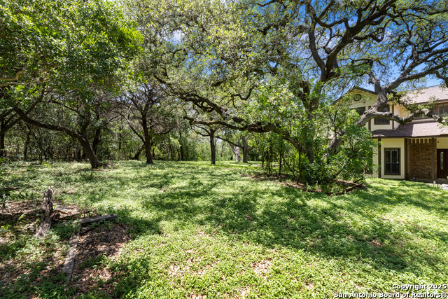 10623 Alta Loma, Helotes, Texas image 8