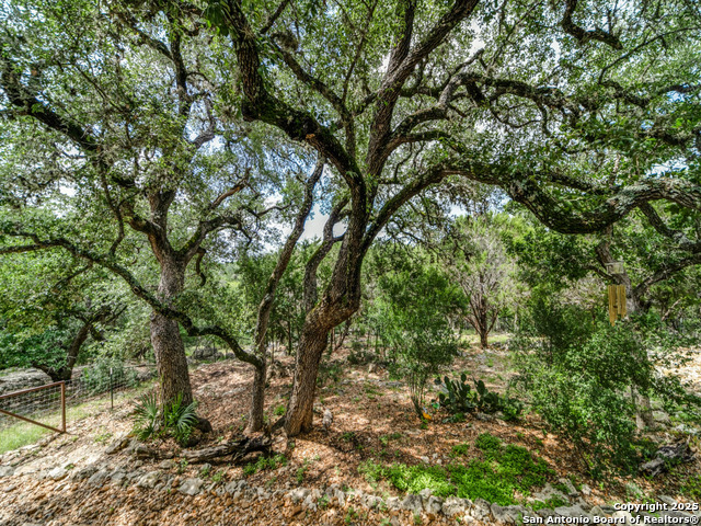1409 Waterstone, Boerne, Texas image 35