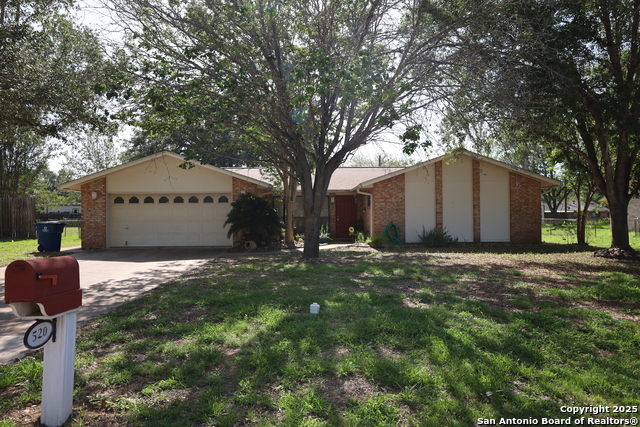 520 High Meadow, Pleasanton, Texas image 2