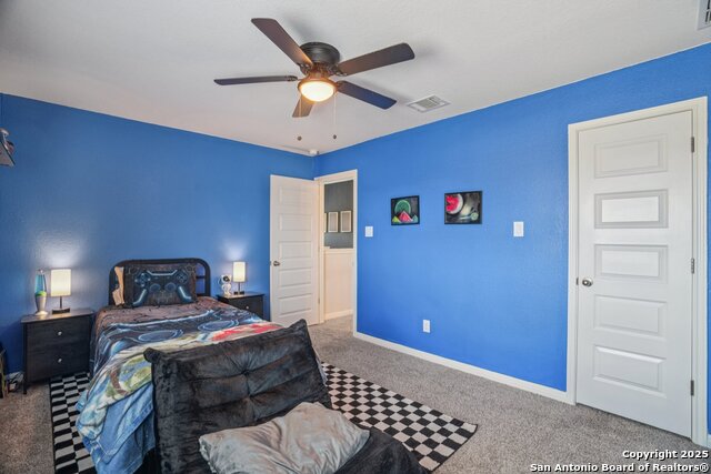 4931 Ranahan Pass, Saint Hedwig, Texas image 30