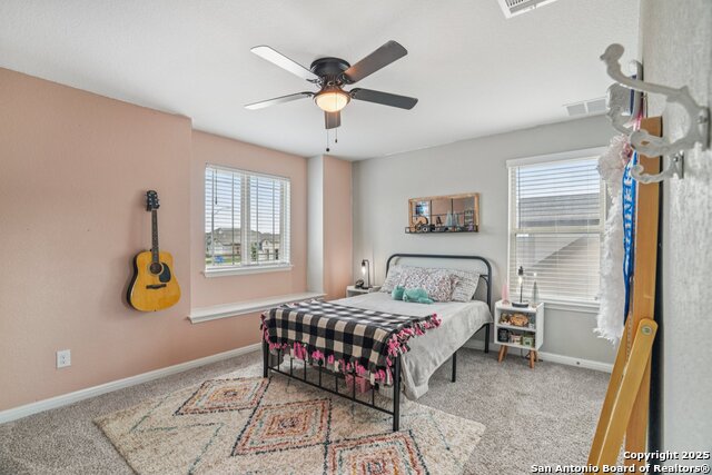 4931 Ranahan Pass, Saint Hedwig, Texas image 32