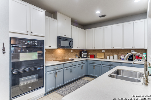 153 Rattlesnake Bluff, Boerne, Texas image 11