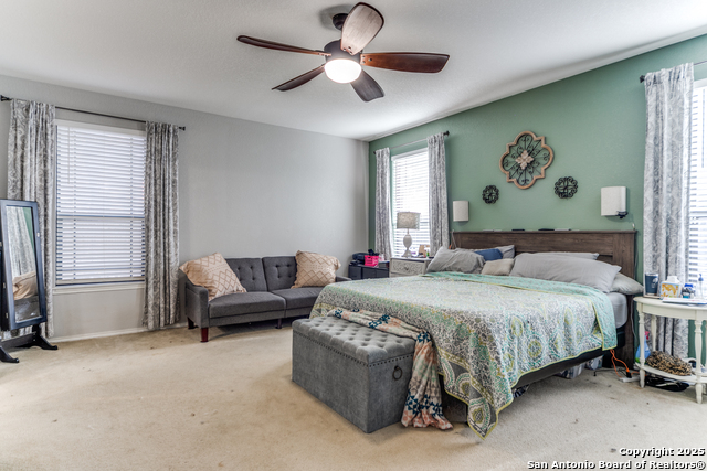 153 Rattlesnake Bluff, Boerne, Texas image 17