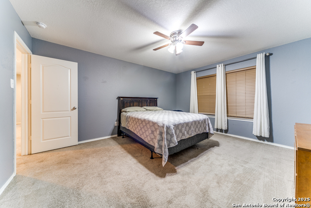 153 Rattlesnake Bluff, Boerne, Texas image 21