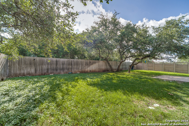 153 Rattlesnake Bluff, Boerne, Texas image 24