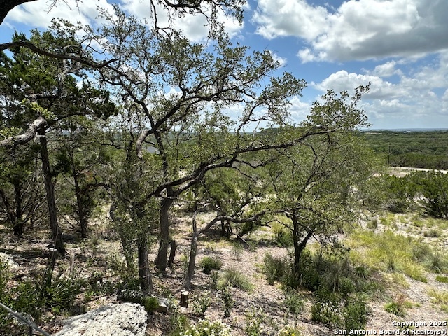 811 Hillside Dr., Spring Branch, Texas image 42