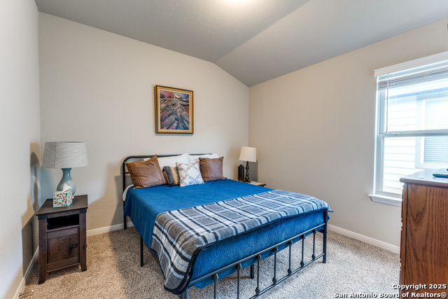 1295 William Crest, New Braunfels, Texas image 15