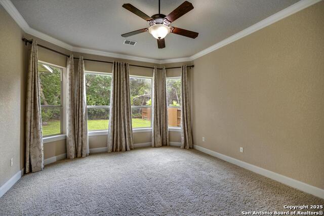 10645 Foxen Way, Helotes, Texas image 13