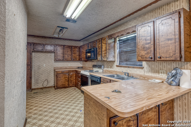 100 E Bluebonnet, Uvalde, Texas image 12
