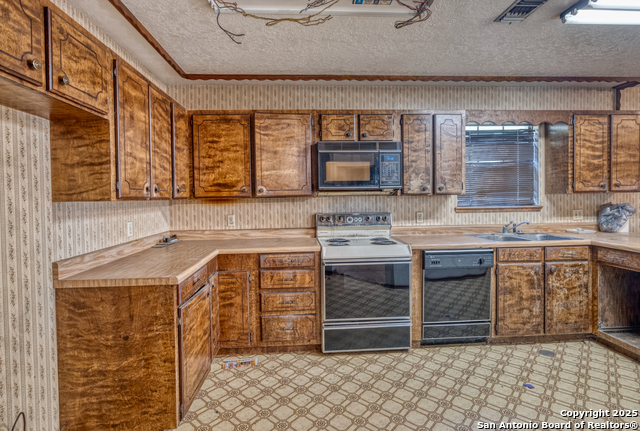 100 E Bluebonnet, Uvalde, Texas image 15