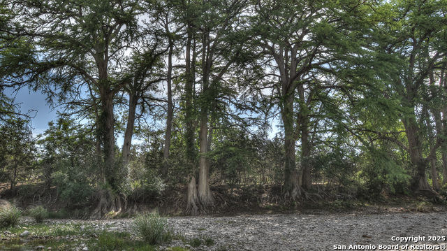 154 Weston, Leakey, Texas image 11