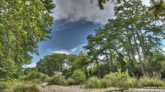 154 Weston, Leakey, Texas image 15