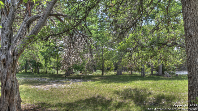 154 Weston, Leakey, Texas image 5