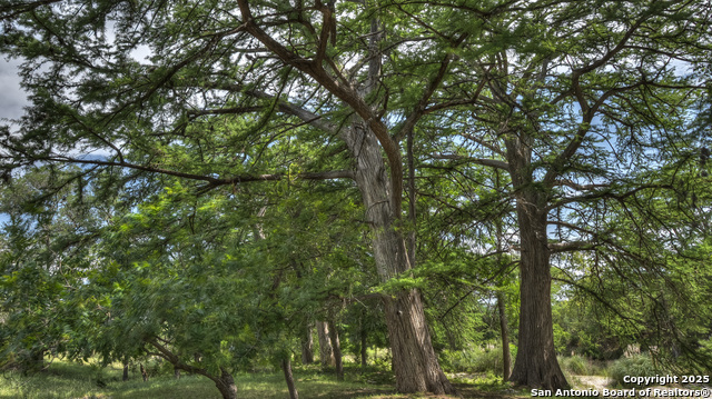 154 Weston, Leakey, Texas image 7