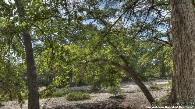 154 Weston, Leakey, Texas image 8