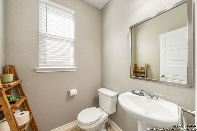 11312 Red Oak Turn, Helotes, Texas image 20