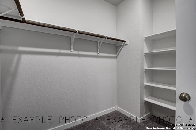 4311 Clarisse St, New Braunfels, Texas image 7