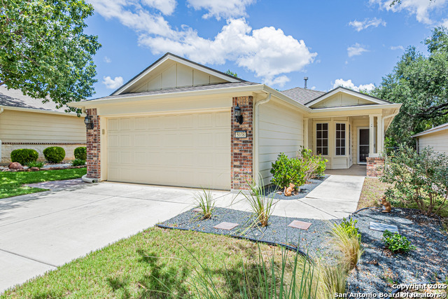 5038 Sandhill Crane, San Antonio, Texas image 1