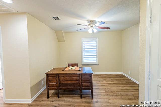 5038 Sandhill Crane, San Antonio, Texas image 12
