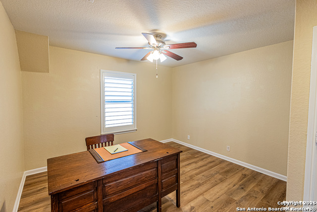5038 Sandhill Crane, San Antonio, Texas image 13