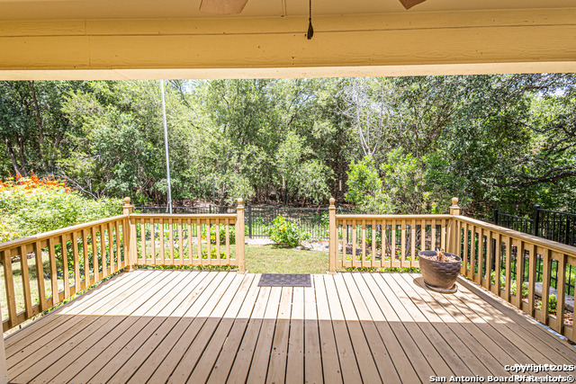 5038 Sandhill Crane, San Antonio, Texas image 23