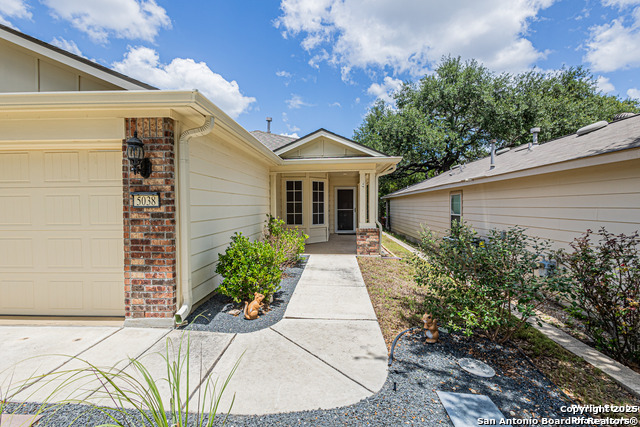 5038 Sandhill Crane, San Antonio, Texas image 3