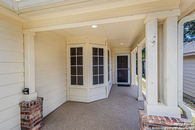 5038 Sandhill Crane, San Antonio, Texas image 4