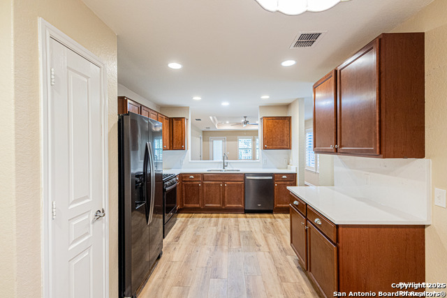 5038 Sandhill Crane, San Antonio, Texas image 6