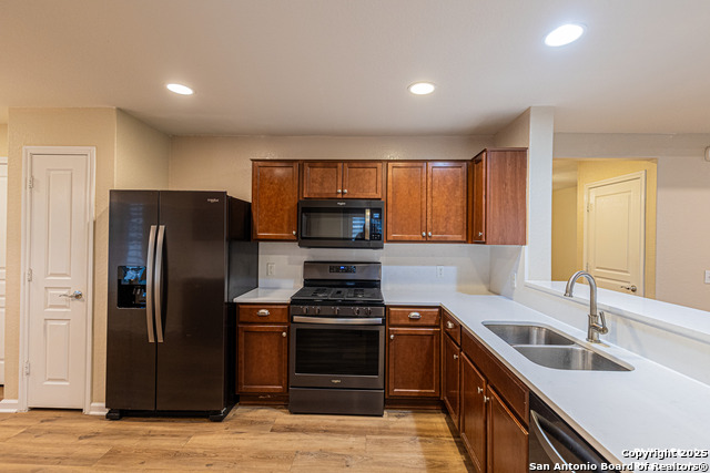 5038 Sandhill Crane, San Antonio, Texas image 7