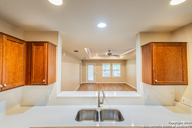 5038 Sandhill Crane, San Antonio, Texas image 9