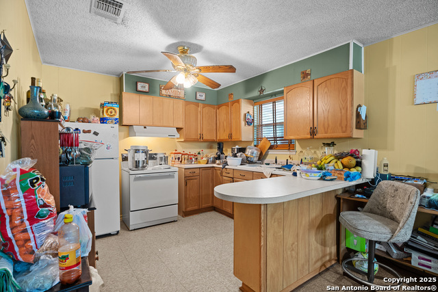 258 County Road 4000, Pearsall, Texas image 10