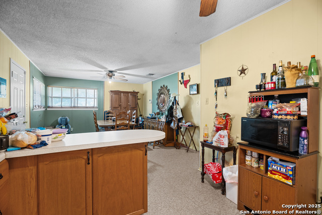 258 County Road 4000, Pearsall, Texas image 11