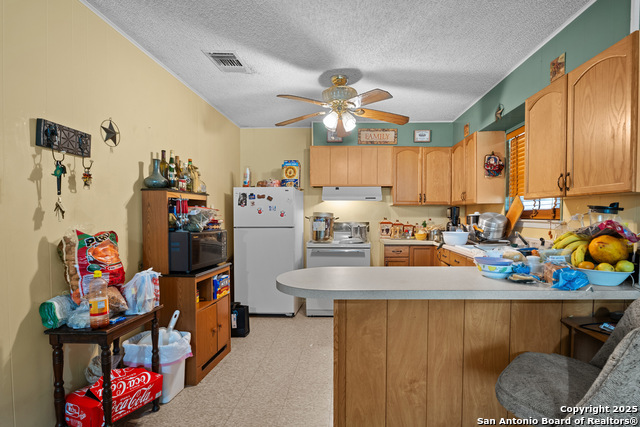 258 County Road 4000, Pearsall, Texas image 9