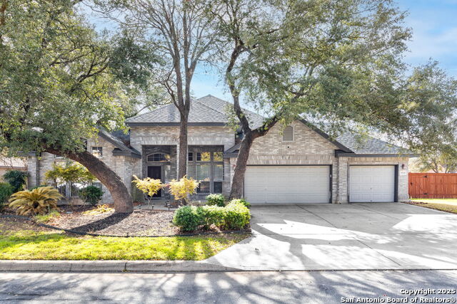 9510 French Tree, Helotes, Texas image 1