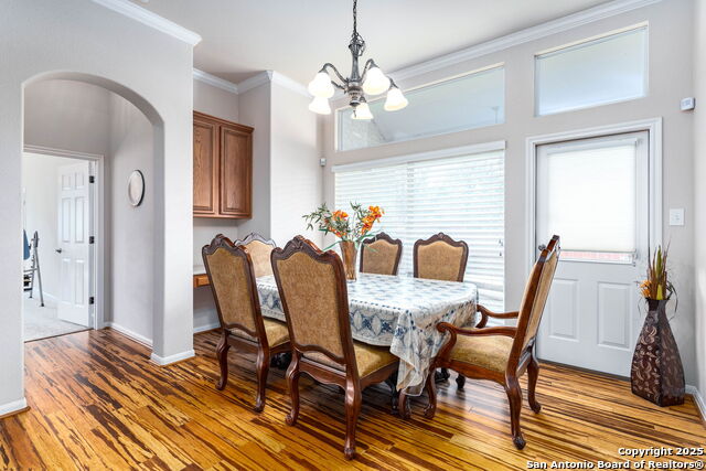 9510 French Tree, Helotes, Texas image 10