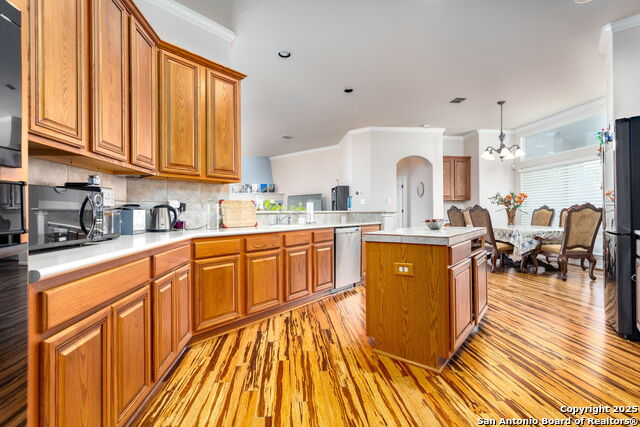 9510 French Tree, Helotes, Texas image 11