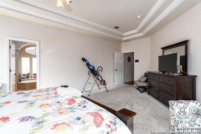 9510 French Tree, Helotes, Texas image 17