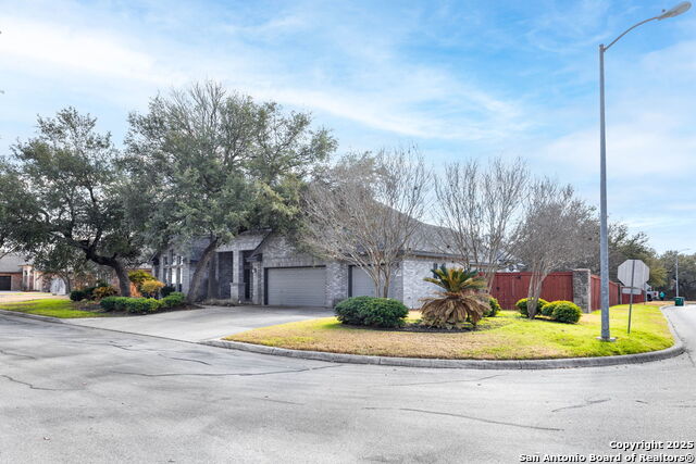 9510 French Tree, Helotes, Texas image 2