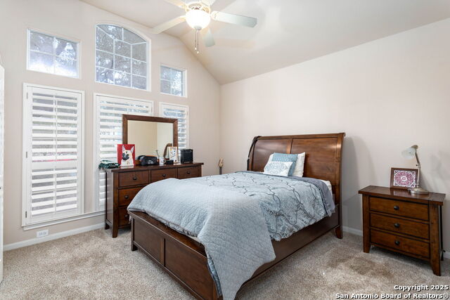 9510 French Tree, Helotes, Texas image 21