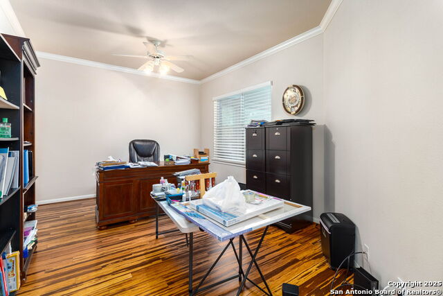 9510 French Tree, Helotes, Texas image 24