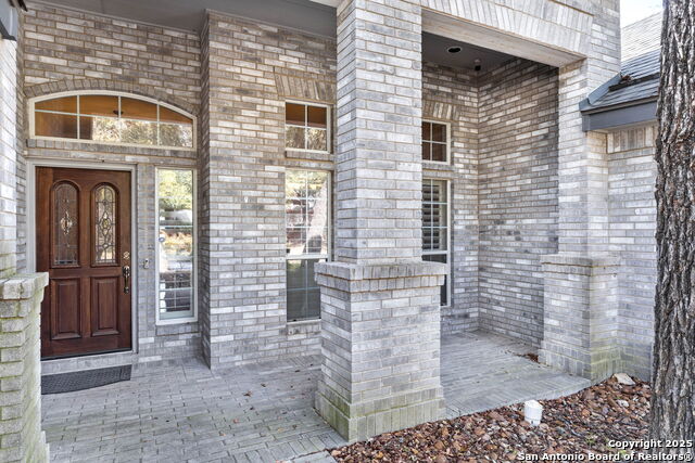 9510 French Tree, Helotes, Texas image 3