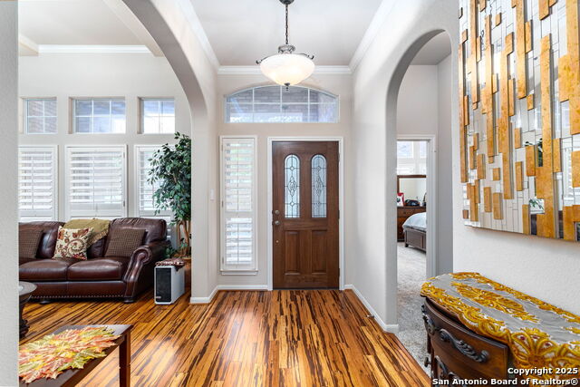 9510 French Tree, Helotes, Texas image 4
