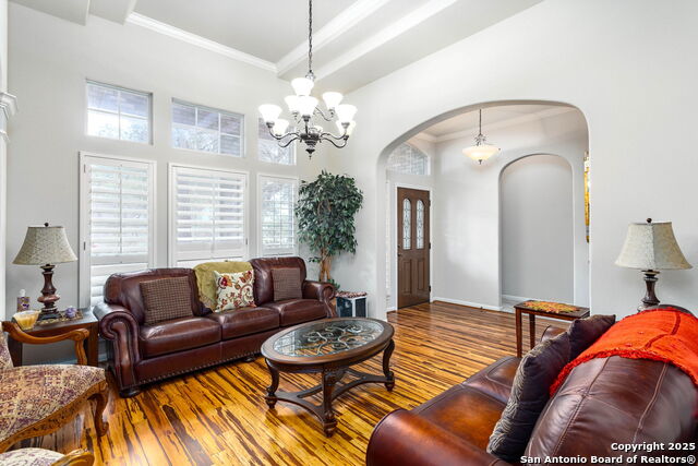 9510 French Tree, Helotes, Texas image 5
