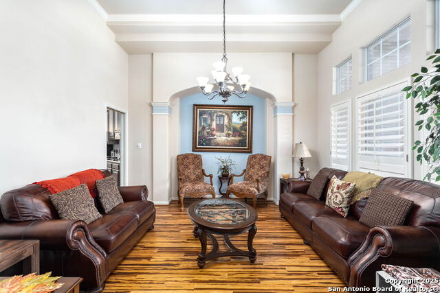 9510 French Tree, Helotes, Texas image 6