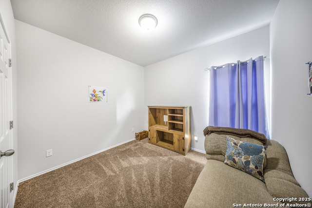 13115 Heathers Reef, Saint Hedwig, Texas image 15