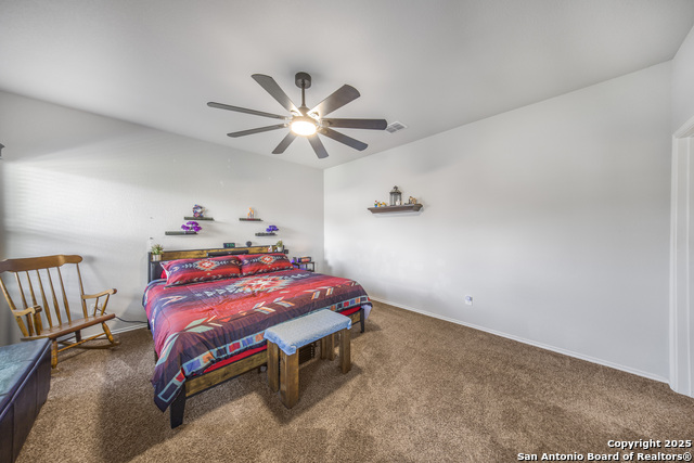 13115 Heathers Reef, Saint Hedwig, Texas image 18