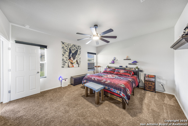 13115 Heathers Reef, Saint Hedwig, Texas image 19