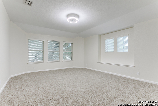 10611 Larch Grove Ct, Helotes, Texas image 19