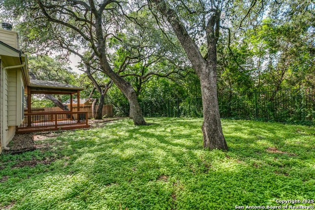 10611 Larch Grove Ct, Helotes, Texas image 25