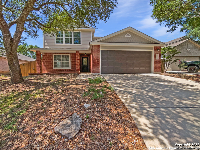 12719 Holly Cedar, Helotes, Texas image 1